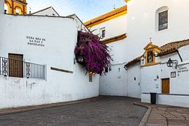 Streets in Cordoba by Leticia Spruyt