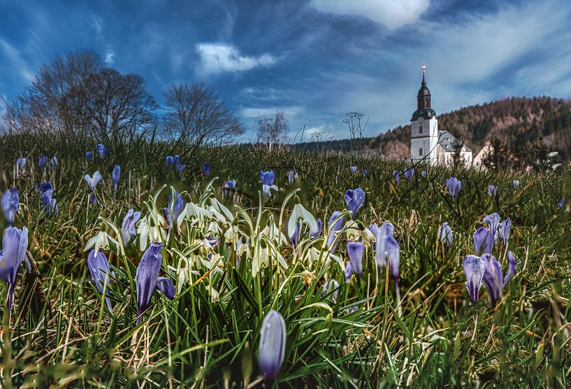 Krokuswiese mit Kirche in Drebach von Johnny Flash