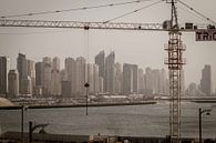 Building Dubai van Leanne lovink thumbnail
