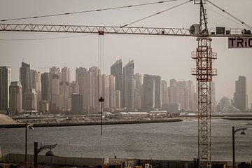Building Dubai by Leanne lovink