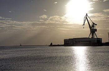 Kraan in het eerste licht