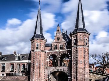 De watertoren van Sneek van Willy Sybesma