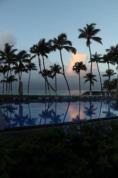 Zwembad op Guadeloupe bij zonsopkomst van SaschaSuitcase