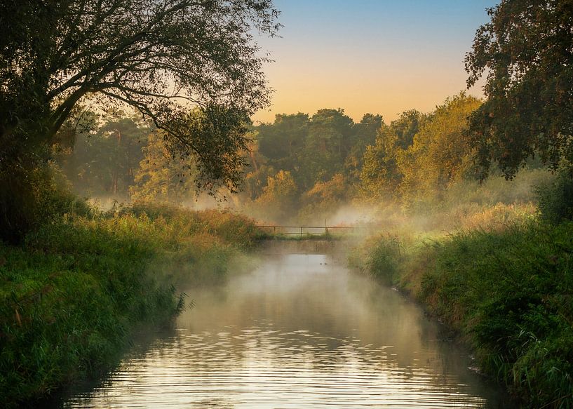 Lever de soleil sur les champs de ruissellement à Münster, Rhénanie-du-Nord-Westphalie par Thorsten Wind