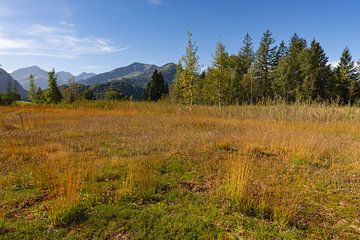 Herfst in de Allgäu van Walter G. Allgöwer