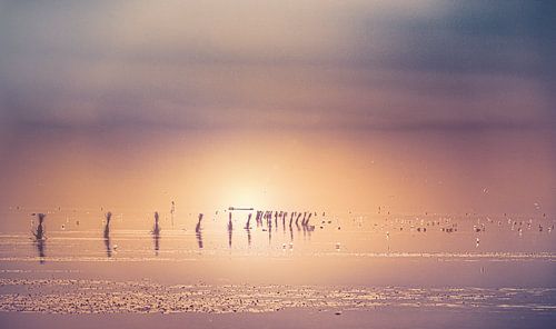 Strand van Cuxhaven aan de Duitse Noordzeekust.  Foto bij laag water met baken en golfbreker