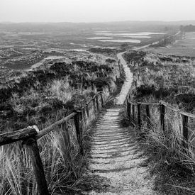 une promenade dans les dunes sur jeroen akkerman