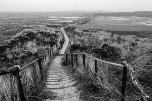 een wandeling door de duinen van jeroen akkerman