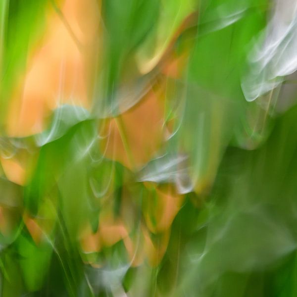 green and yellow in motion 3 by Pictures by GJ