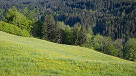 Landschaft in den Alpen von Bo Valentino