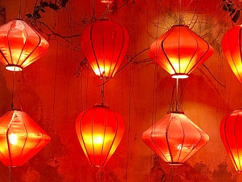 Lampionnen van Marieke van Milligen