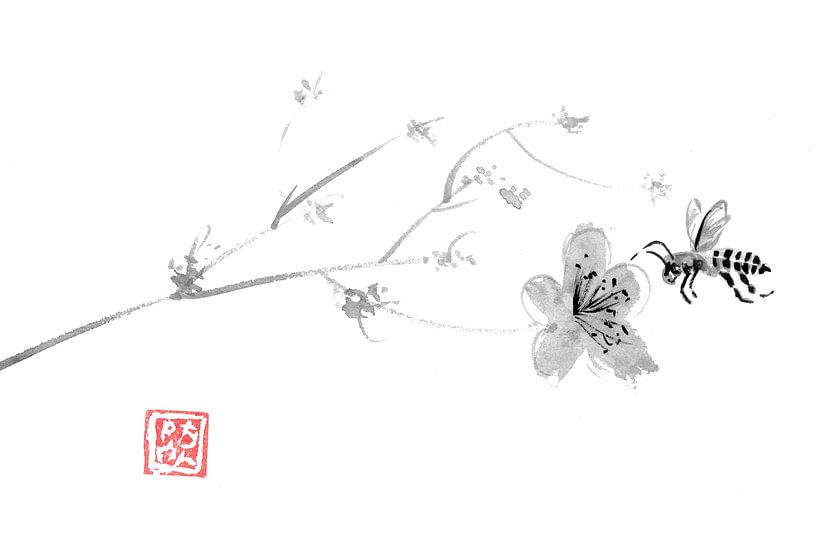 Springbee von Péchane Sumie
