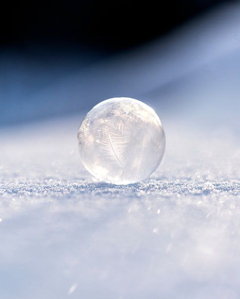 A frozen bubble by MirjamCornelissen - Fotografie