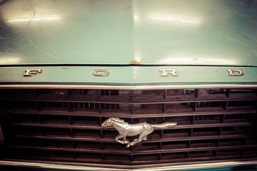 Detail Motorkap grille Ford Mustang classic oldtimer van DroomGans