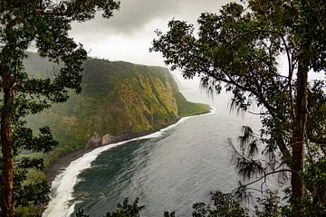 Waipio valley in Hawaii