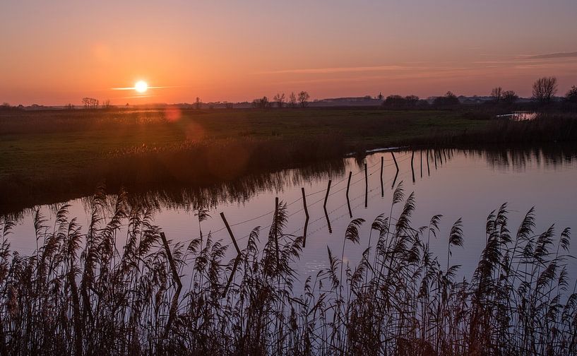 Sint Kruiskreek van Mario de Lijser