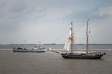 Anda and Jantje DelfSail 2024 by Jan Georg Meijer