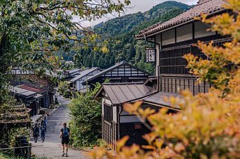 Autumn in the Japanese countryside