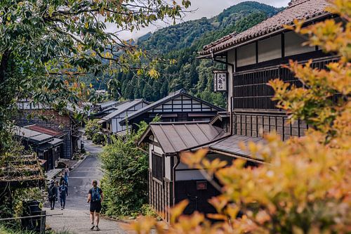 Autumn in the Japanese countryside