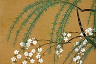 Fleurs de cerisier japonais par Mad Dog Art Aperçu