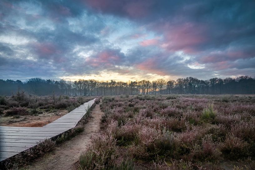 Sunrise at the Vlonderpad in the Mastbos by E Blaas