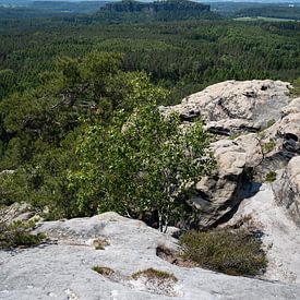 Wooded countryside and sandstone rocks by Adriana Müller