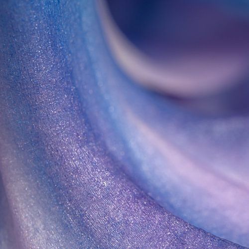 Abstract vierkantje uit de natuur: Blauw - paarse hyacint