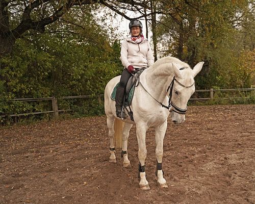Training met het witte paard op een rijbak in de herfst