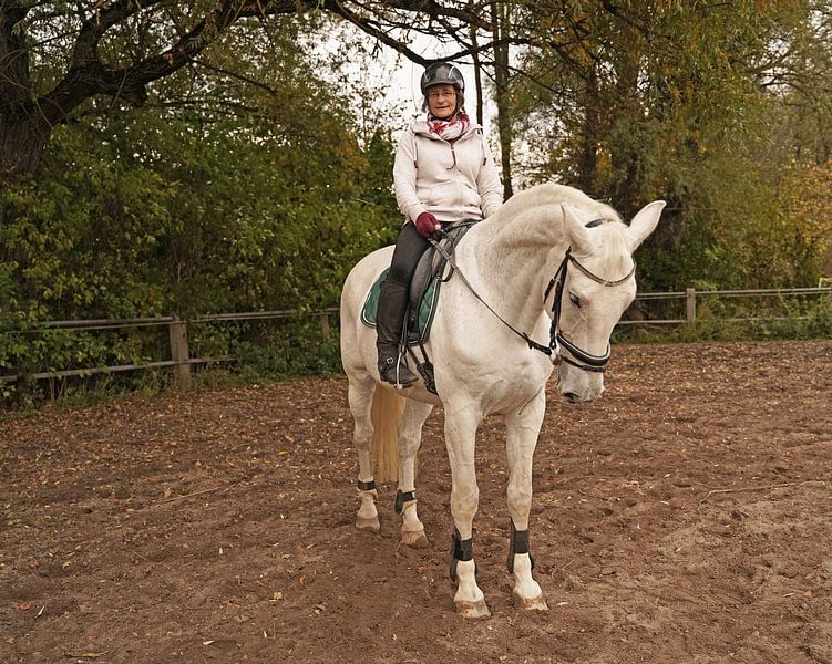 Training mit dem weißen Pferd auf einem Reitplatz im Herbst von Babetts Bildergalerie