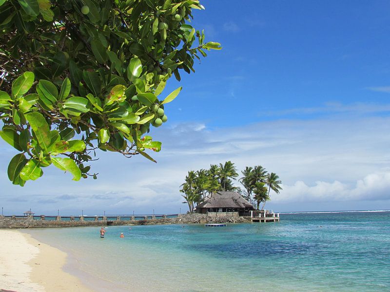 Fiji Time par Sandra Frevel