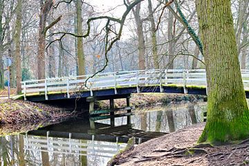 bridge on estate clingendael by Micky Bish