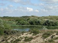 Natuur foto