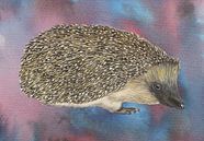 Hedgehog by Jasper de Ruiter thumbnail