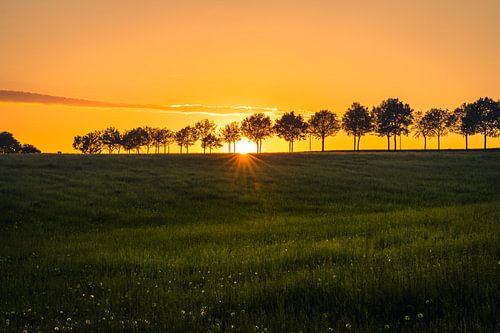 Zonsondergang tussen de bomen