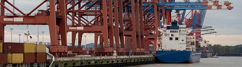 Containerschip bij de terminal met laadkranen in de haven van Hamburg