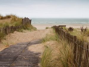 dunes avec vue sur la mer sur Klaartje Majoor