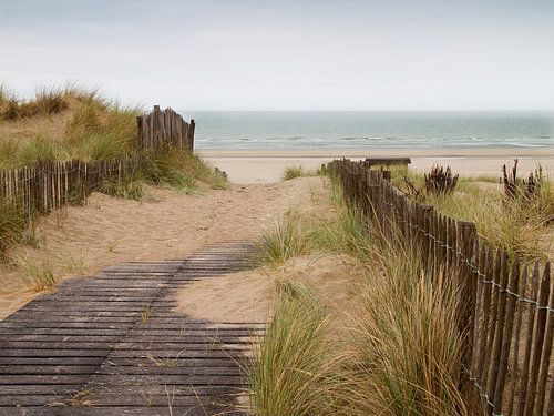 duinen met zicht op zee
