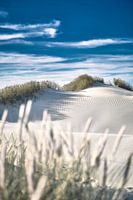 White dunes on the Nrod Sea coast