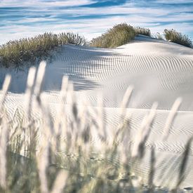 Dunes blanches sur la côte de la mer de Nrod sur Florian Kunde