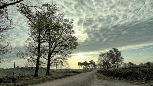 Sonnenaufgang auf der Somerense Heide
