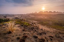 Amsterdam Wasserversorgung Dünen von martin slagveld