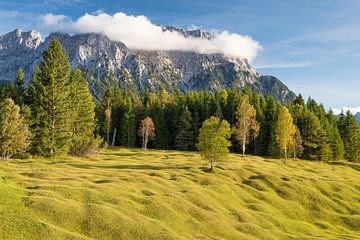 Buckelwiesen, Werdenfelser Land, dahinter Karwendel Berge