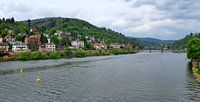Heidelberg Panorama3 van Edgar Schermaul thumbnail