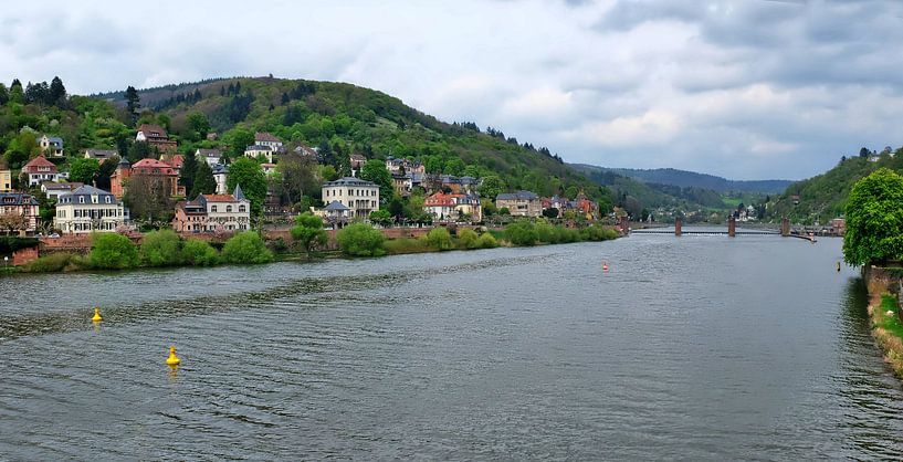 Heidelberg Panorama3 van Edgar Schermaul