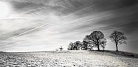Snowy Hill