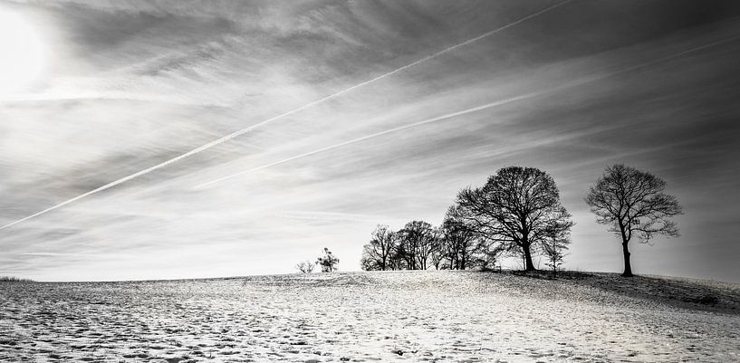 Snowy Hill van Wouter Goedvriend
