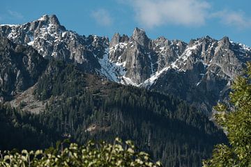 Bergketen gezien vanuit Chamonix Mont-Blanc van Hozho Naasha