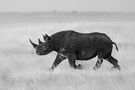 Protéger le rhinocéros par Sharing Wildlife Aperçu