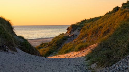 Sunset among the dunes by Mark Scheper