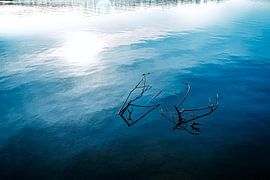 View of blue lake with branches backlit abstract